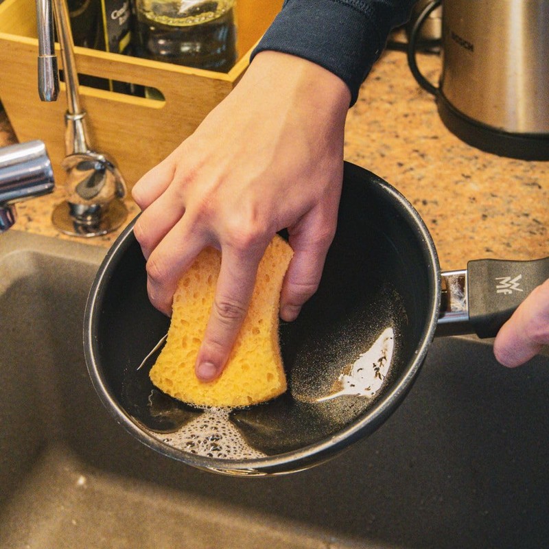 pandoo Household Sponges, Organic Cleaning Sponge, Kitchen Sponge, Dishwashing Sponge,