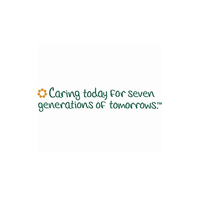 Seventh Generation Unbleached Paper Towel, 6 Count