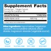 Doctor Best Ácido Alfa Lipoico 600mg Antioxidante Alpha Lipoic Acid