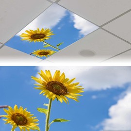 4 Pack Fluorescent Light Covers Magnetic Light Cover Fluorescent Light Eliminate Harsh Glare That Causing Eyestrain and Head Strain Light Filters for Office Classroom Home,4 x 2 Ft (Sunflower)