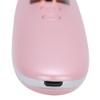 Ion Skin Rejuvenation Machine EMS MicroCurrent RF Face Care Machine