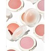 Muted blusher (5 colors) / 뮤티드 블러셔 (5 colors)