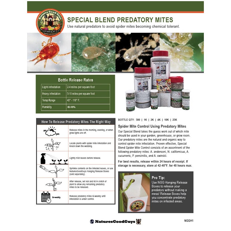 NaturesGoodGuys Special Blend Spider Mite Control Predatory Mites - 500