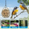 4 Pack Bird Feeder, Suet Ball Feeders for Outside Hanging,