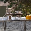 Camping Moon (CAMPING MOON) Cooker Stand Mini, Height Adjustable in