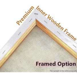 Meecaa Paint by Numbers XXXX Kit for Adults Beginner DIY Oil Painting 16x20 inch (Starry Sky, Framed)