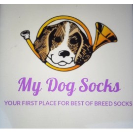 Pit Bull Terrier Dog design 1 lightweight earrings jewelry FREE SHIP Mydogsocks