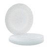 Vikko Salad Plate, Set of 6 Glass Plates, Dinner Plate,