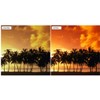 43 mm Professional Gradient Colour Filter Red Colour Filter Graduated