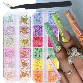 2 Boxes of Resin Flower Nail Charms Colorful Flower White Petal Floral Nail Art Decoration Gold Silver Steel Beads Nail Suppplies with Curved Tweezers DIY Jewerly Nail Art Accessories for Women Girl