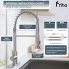 Friho Brushed Nickel Kitchen Faucets with Pull Down Sprayer, Stainless