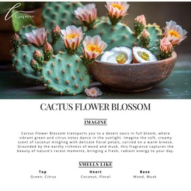 Lapew Cactus Flower Blossom Carpet Freshener Powder: Powerful Odor Eliminator for Home, Upholstery Deodorizer, Carpet Deodorizer, Pet Urine, Cat Litter Deodorizer - Cactus Flower Blossom Fragrance.
