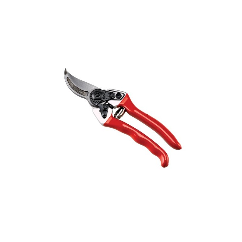 AUSONIA 81003 Vine Red Professional Scissors 21 cm