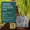DYNOMYCO Spark 3 in 1 Mycorrhizal Inoculant Root Enhancer Powder