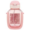 Skater PDSH6DX-A Water Bottle with Straw, 18.9 fl oz (530