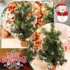 8 Packs Tabletop Mini Christmas Tree Small Christmas Tree Artificial