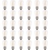 Newhouse Lighting S14LED30P Outdoor Weatherproof 1W (11W Equivalent) Shatter-Resistant S14
