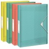 Esselte Colour'Ice 626262 Filing Box A4 Capacity 350 Sheets Spine