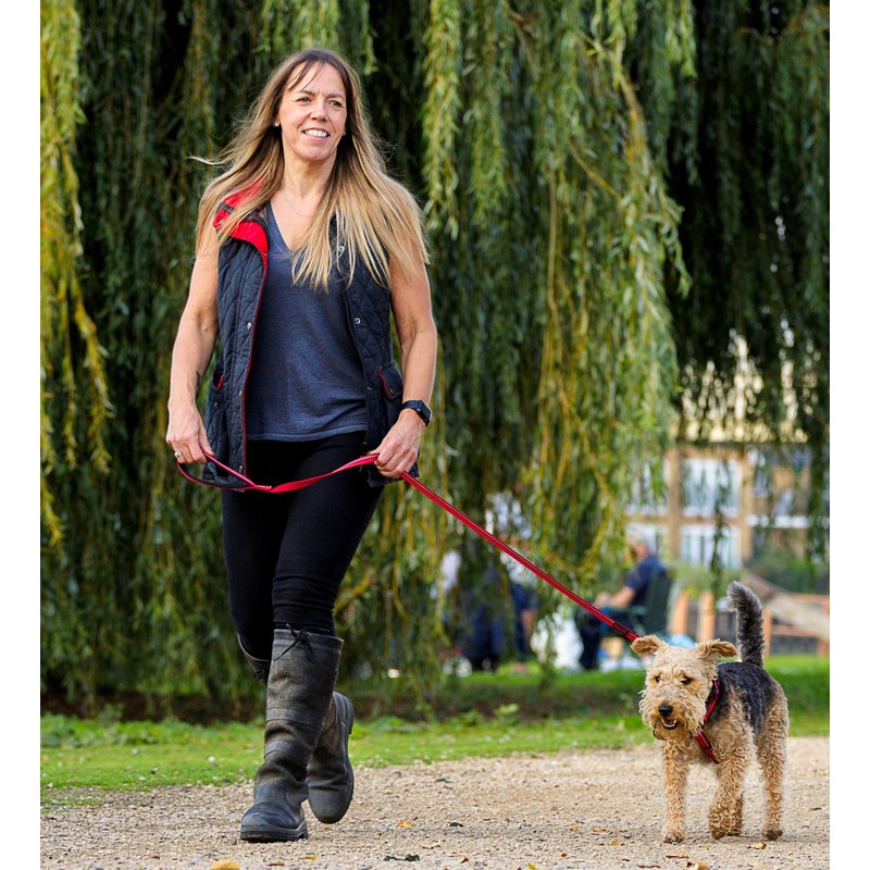 HALTI Lead For Dogs, Size Small, Black, 1.2m, Premium Nylon