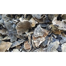 Dried Turkey Tail Mushrooms - 16 ounce (1 lb)