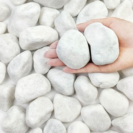 FANTIAN 10 lbs White Gravel for Aquarium, 2-3 Inch Large Pebbles for Planters, Decorative River Rocks for Plants Indoor, Landscaping, Vases, Fish Tank, Crafting and Garden