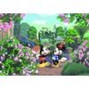266 Peace romantic garden DSG-266-736 [size tightly Stained Art]