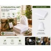White Outdoor Camping Mosquito Net - Insect Proof, Protective, Portable