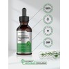 Horb?ach Horb?ach Peppermint Leaf Extract Liquid | 2 Fl Oz