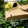 Acrylic Tarantula Enclosure Jumping Spider Enclosure with Front Opening Door
