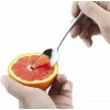 AlepTau Set of 4 Grapefruit Spoons Stainless Steel Serrated Edge