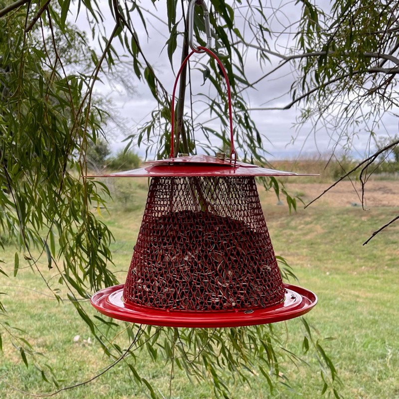 Backyard Essentials Collapsible Metal Mesh Bird Feeder with Tray -