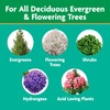 Miracle-Gro Shake 'N Feed Flowering Trees and Shrubs Plant Food,