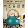 Tea Kettle Stovetop,2.0QT Loud Whistling Kettle for Boiling Water Coffee