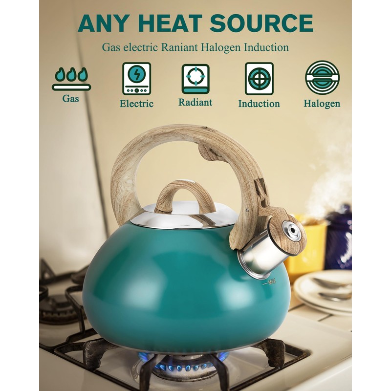 Tea Kettle Stovetop,2.0QT Loud Whistling Kettle for Boiling Water Coffee