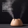 Fidei Aceite Esencial De Eucalipto 100% Puro Y Natural
