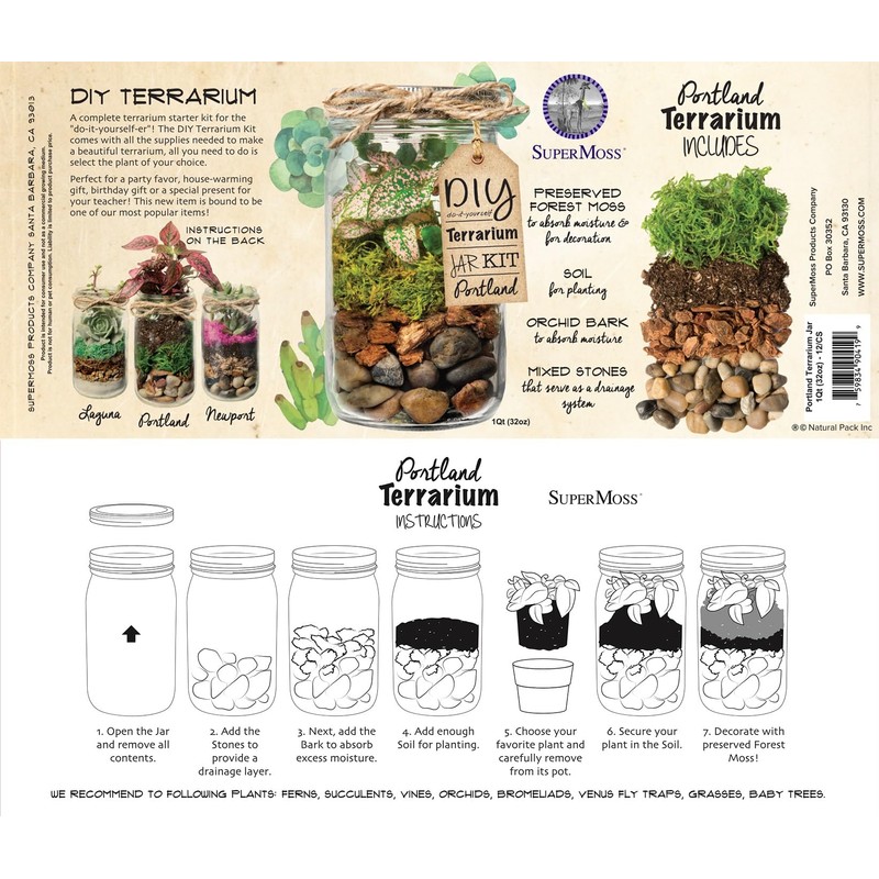 Portland Terrarium kit - DIY Mason Jar Terrarium Kit