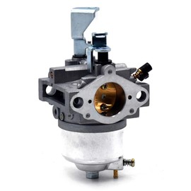 Autu Parts 716116 Carburetor for Briggs &Stratton 246000 246432 246435 246437 Model Engines
