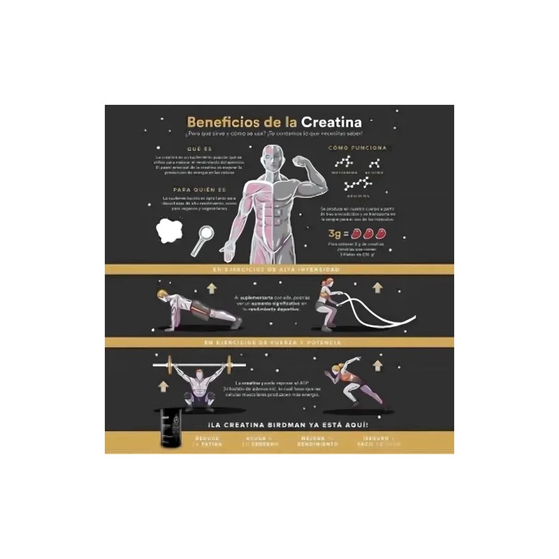 Birdman Creatina Monohidratada 700g Performance
