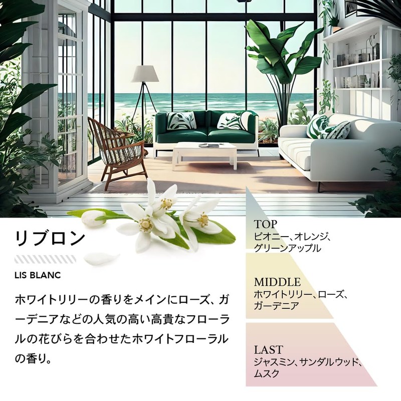 [ASOLE Hair & Body Oil, 3.4 fl oz (100 ml)