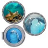 HAMILO Dolphin Sea Turtle Wall Stickers Interior Sea 3 Types