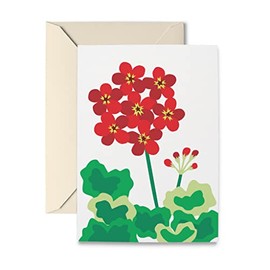 R. Nichols Red Geranium Note Cards Box of 10