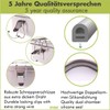 Immer Premium Stainless Steel Lunch Box, Sustainable, Leak-Proof, Plastic-Free, Easy-to-Clean