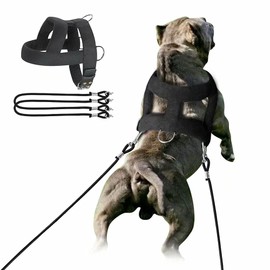 Forestpaw Heavy Duty No Pull Dog Harness for Training-Tactical Vest with 3 Metal Rings,Soft Padded Sled Harness for Small Head Medium Large Dogs,Chest fits 25-31.5"