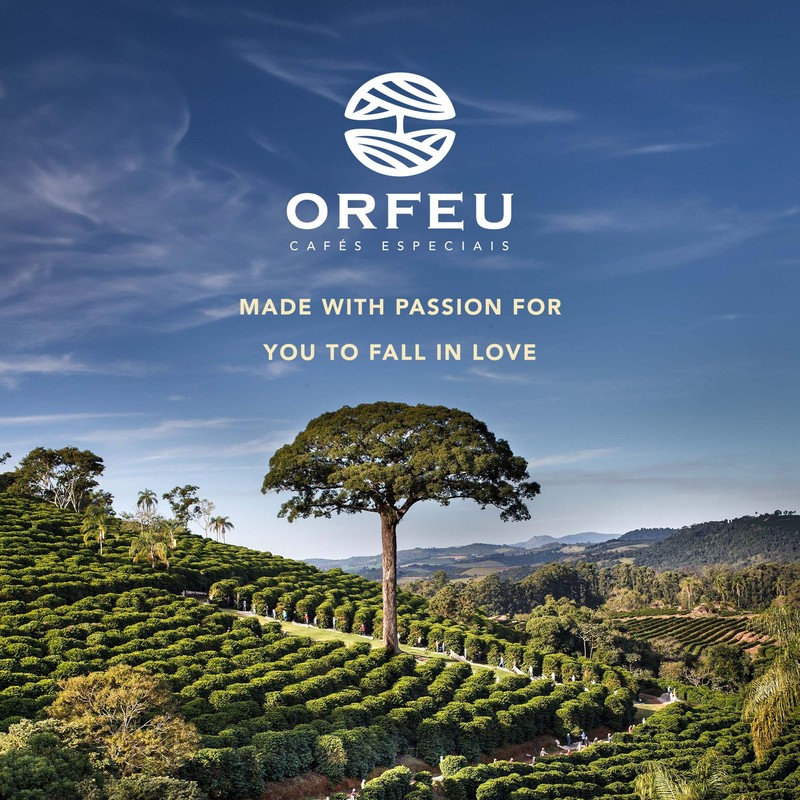 ORFEU - Special Coffee Beans - 100% Arabica, Medium Roast