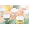 Tatsumiya Pistachio Horn 30499 Quick Washable Storage Container