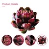 DKALIO Fake Artificial Artichoke, Vegetables Faux Plastic Artichoke, Decoration for