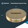 Eastman 4 Inch Slotted Brass Cleanout Plug, 42004