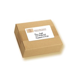 Avery 05444 Removable Multi-Use Labels, 2-Inch x 4-Inch, White, 100 Labels/Pack