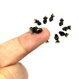 An_Shop 10pcs Artificial Animal Accessories Clay Goldfish Packs Miniature Figurine Mini Decorative for DIY Ornament Craft DIY Dollhouse Black-Gold