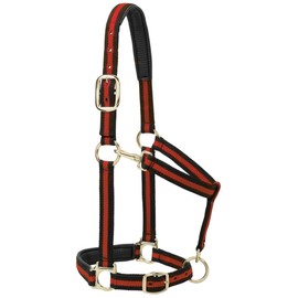 Weaver Leather Padded Adjustable Chin and Throat Snap Halter, Red, Average Horse Size